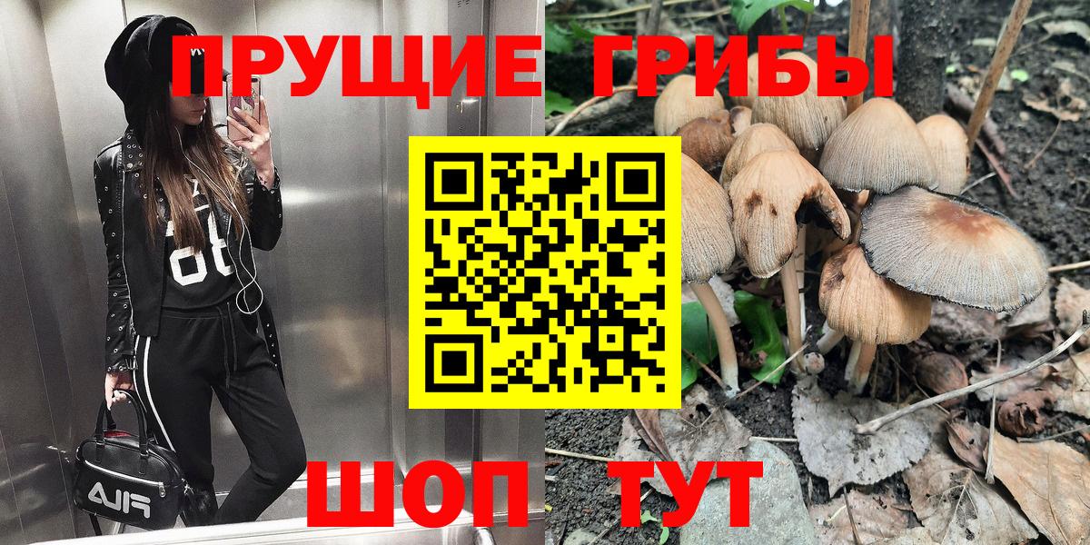 Галлюциногенные грибы Cubensis  Вход с VPN  Узловая 